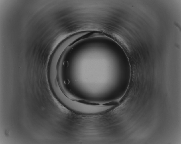 X0000091730942200709071457