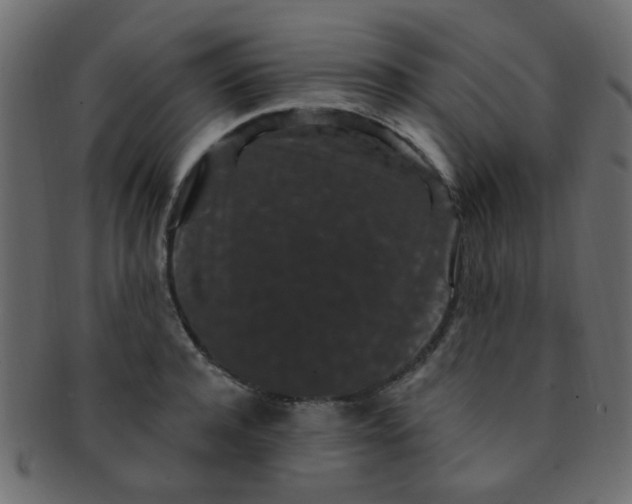 X0000091730944200709071457