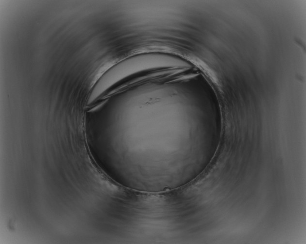 X0000091730945200709071457