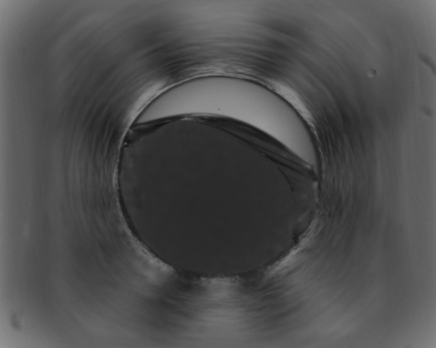 X0000091730946200709071457