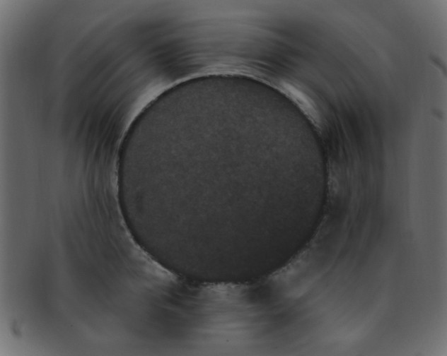 X0000091730950200709071457