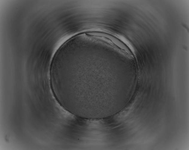 X0000091730951200709071457