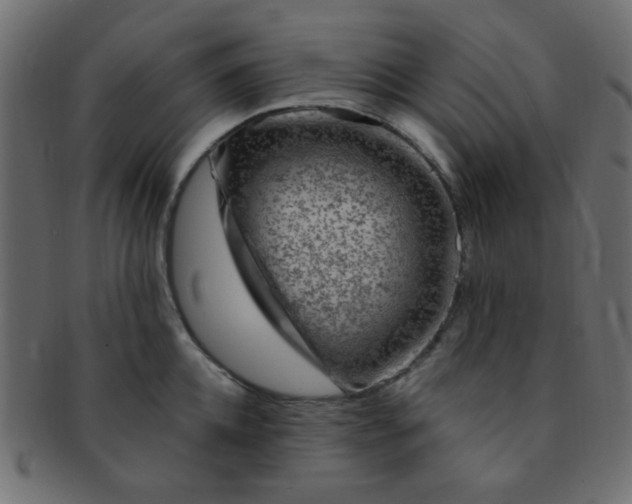 X0000091730952200709071457