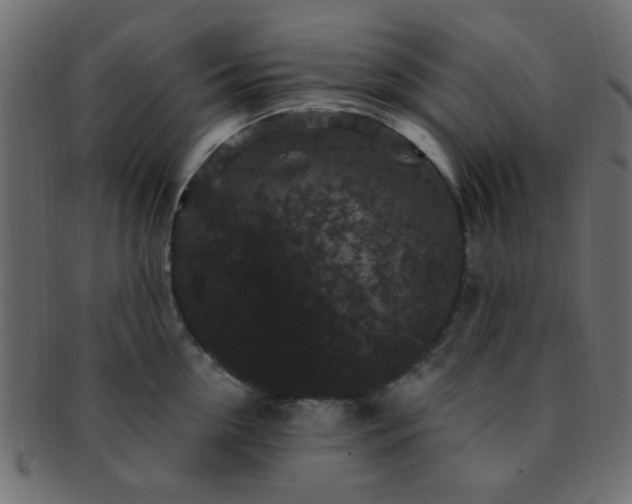 X0000091730954200709071457