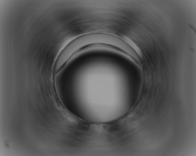 X0000091730956200709071457