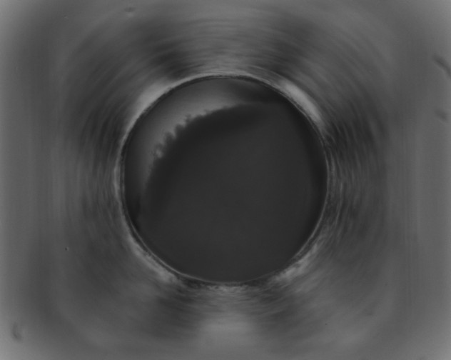 X0000091730958200709071457