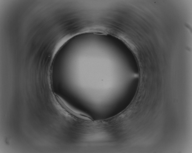 X0000091730960200709071457