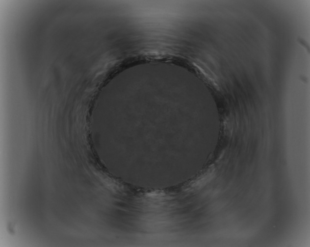 X0000091730961200709071456