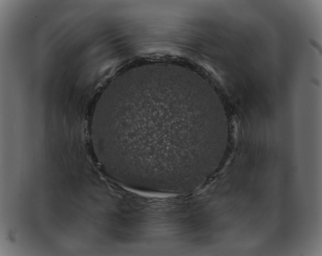 X0000091730965200709071456