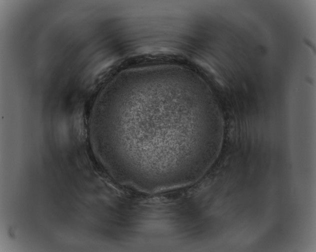 X0000091730966200709071456