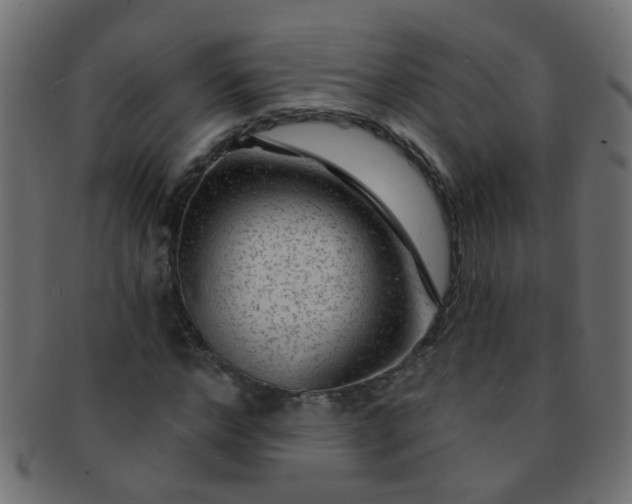 X0000091730968200709071456