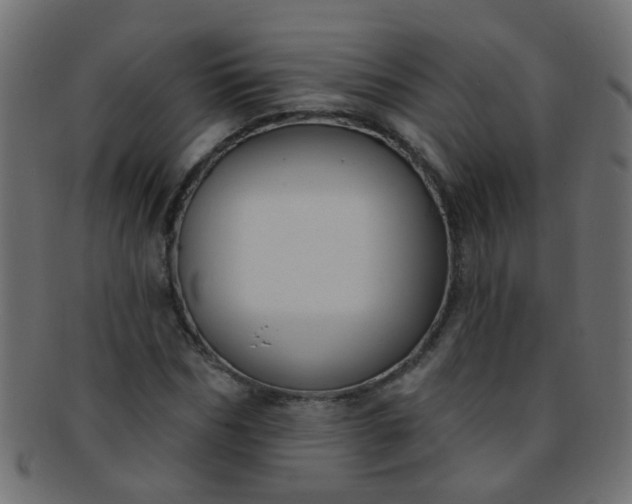 X0000091730970200709071456