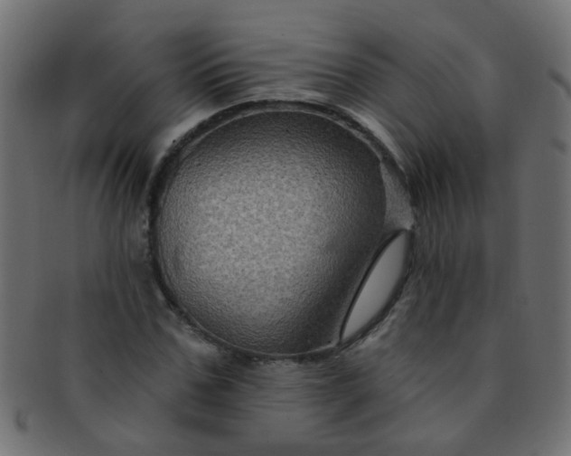 X0000091730971200709071456