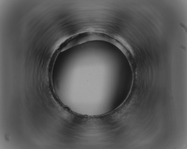 X0000091730972200709071456