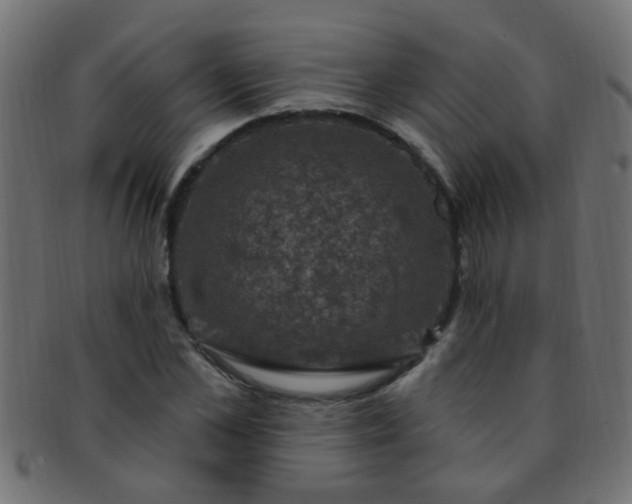 X0000091730973200709071456