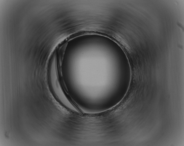 X0000091730976200709071456