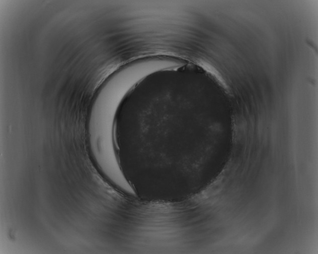 X0000091730977200709071456