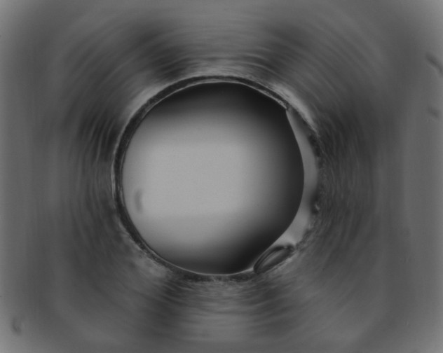 X0000091730980200709071456