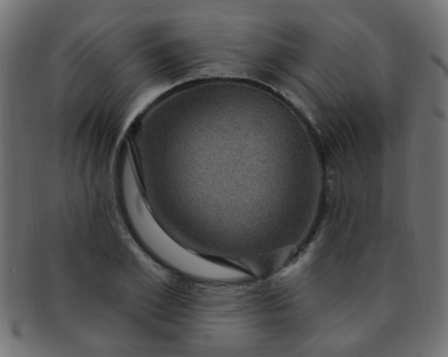 X0000091730981200709071456