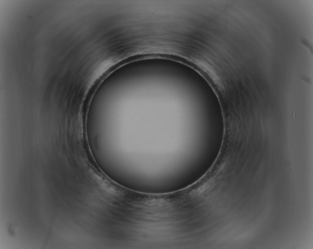 X0000091730982200709071456