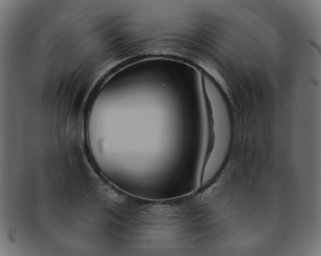 X0000091730984200709071456