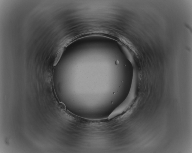 X0000091730985200709071456