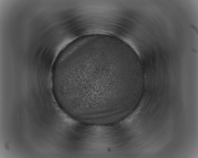 X0000091730987200709071456