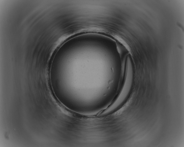 X0000091730989200709071456