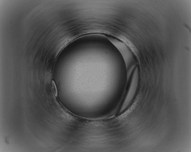 X0000091730993200709071456