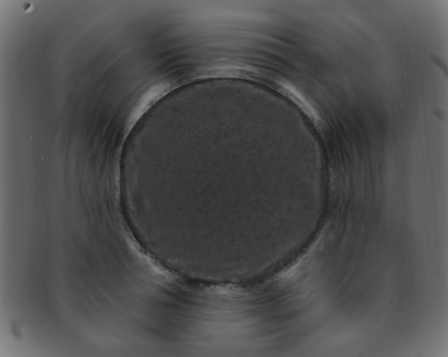 X0000091730994200709071456