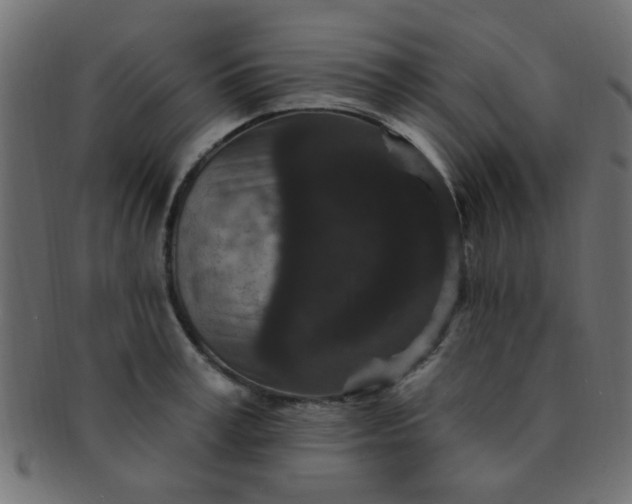 X0000091730995200709071456