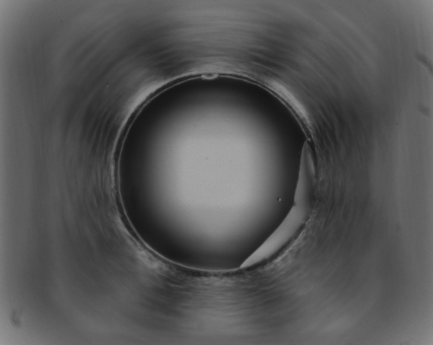 X0000091730996200709071456