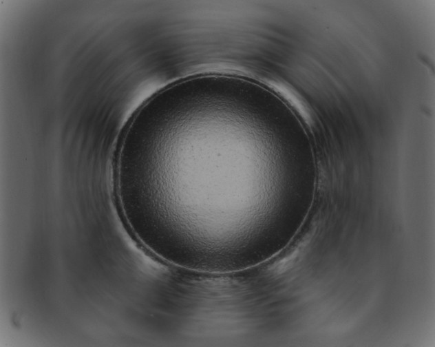 X0000091730999200709071456