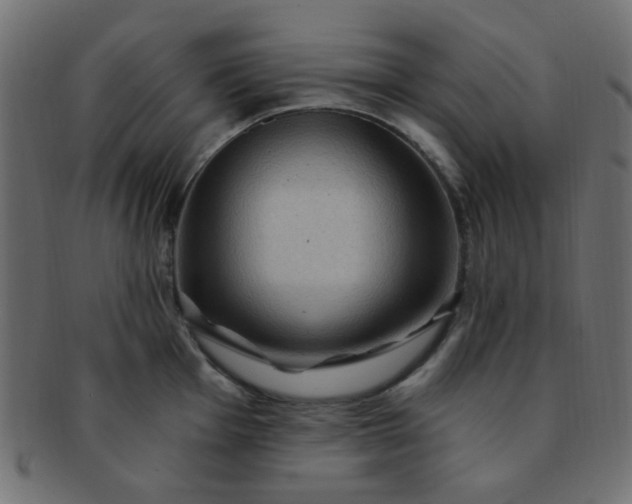 X0000091731001200709071455