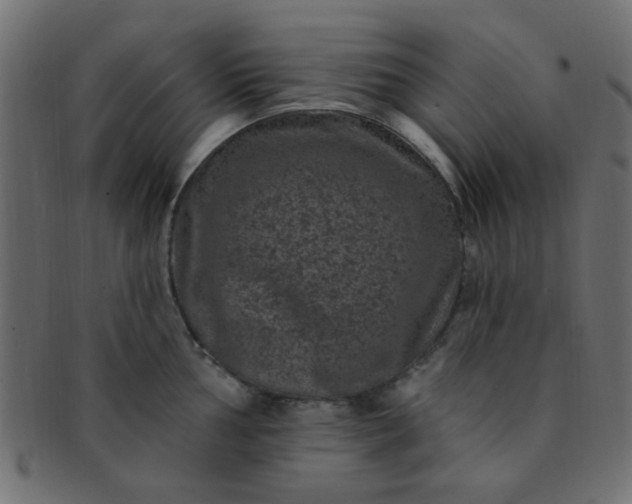 X0000091731002200709071455