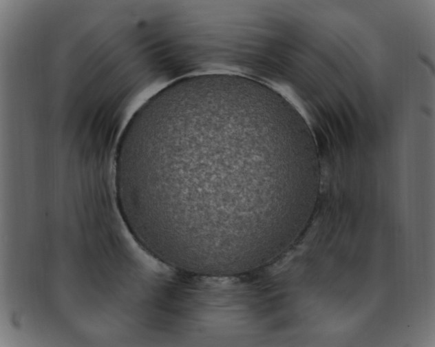 X0000091731003200709071455