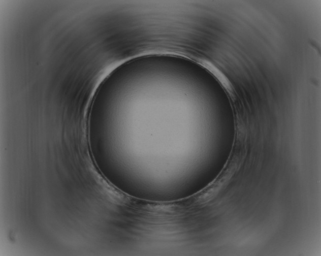 X0000091731004200709071455