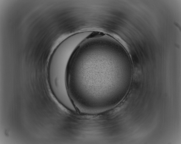 X0000091731005200709071455