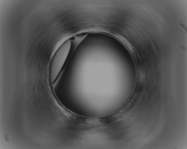 X0000091731006200709071455