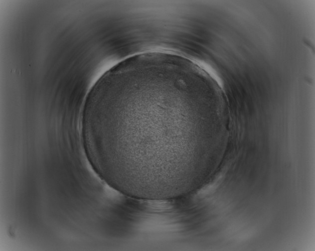 X0000091731007200709071455