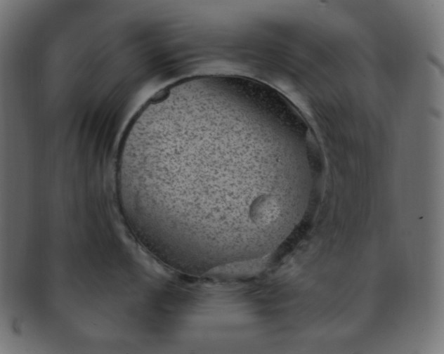 X0000091731008200709071455