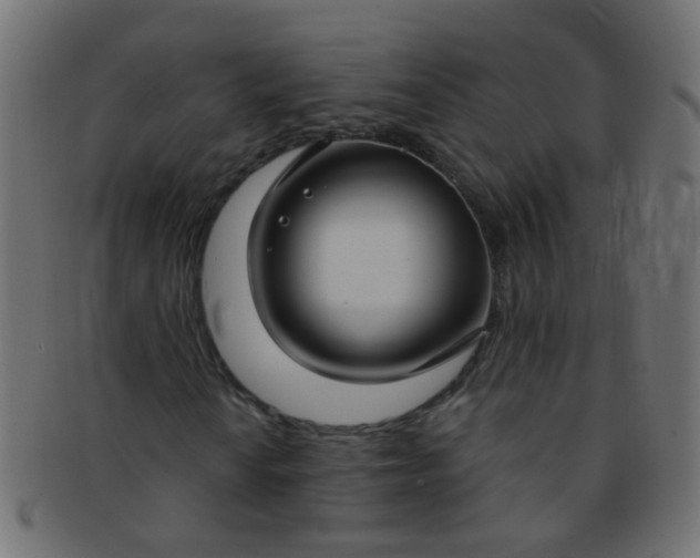 X0000091731010200709071455