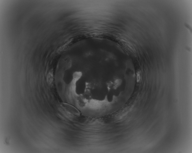 X0000091731011200709071455