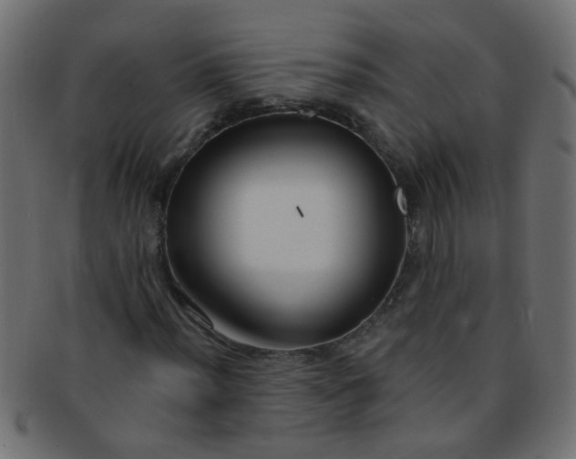 X0000091731012200709071455