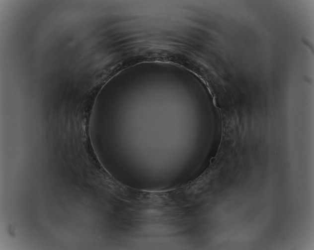 X0000091731013200709071455