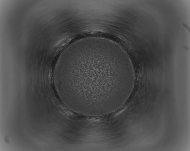 X0000091731014200709071455