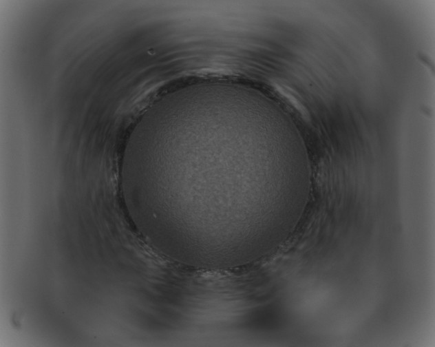 X0000091731015200709071455