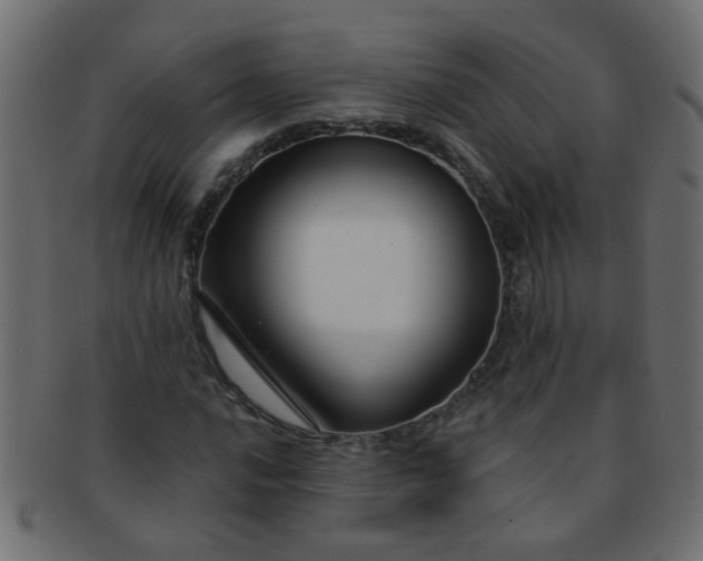 X0000091731016200709071455