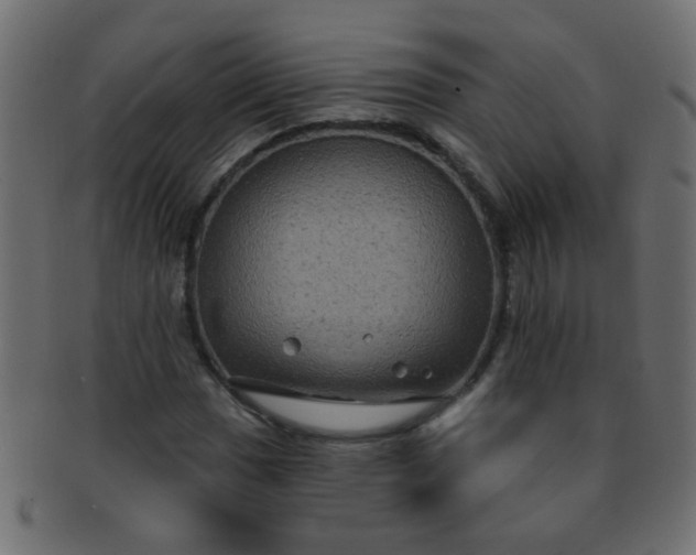 X0000091731017200709071455