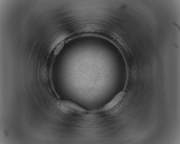 X0000091731018200709071455